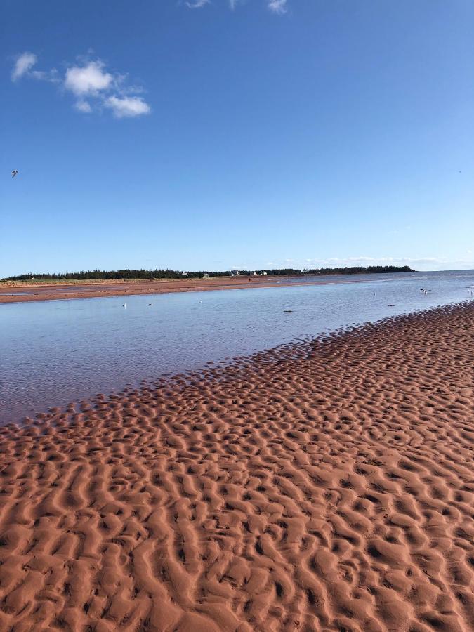 Newly Renovated Confederation Bridge View Cottages Borden-Carleton Exteriör bild